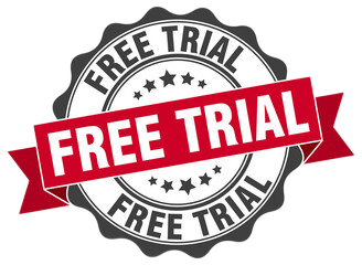 Begin your free trial